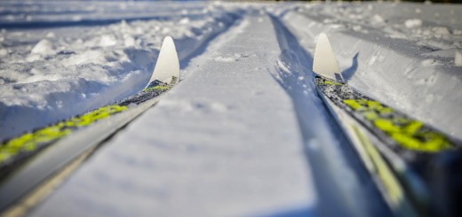narty biegowe Fischer